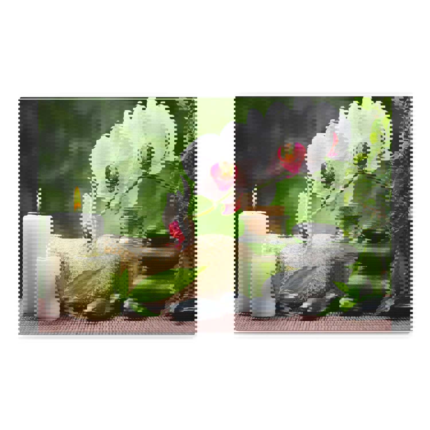 Orchid Flower and Stone Forest Floral Nature Photography Canvas Wall Art for Home Decor