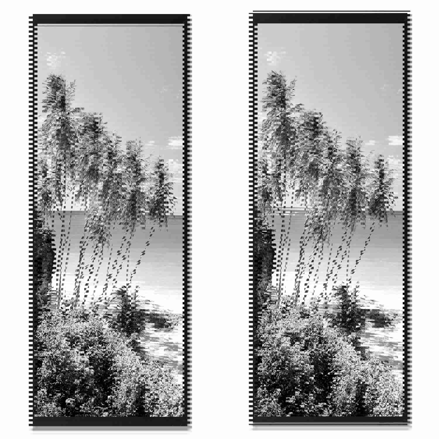 Palm Tree BW Landscape Photo Canvas Print for Home Décor Wall Art