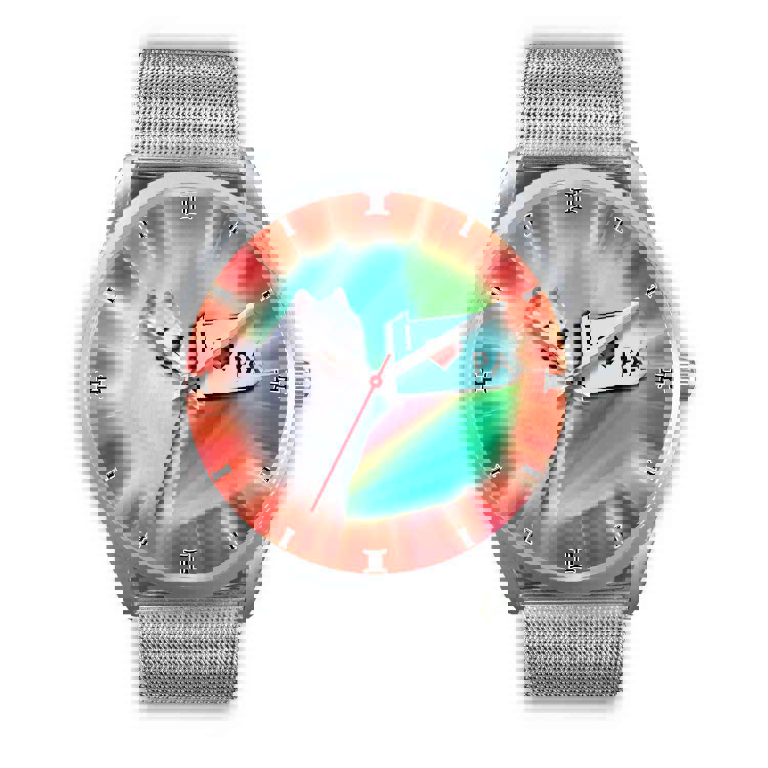 Cheerful American Eskimo Dog Pennsylvania Christmas Special Wrist Watch