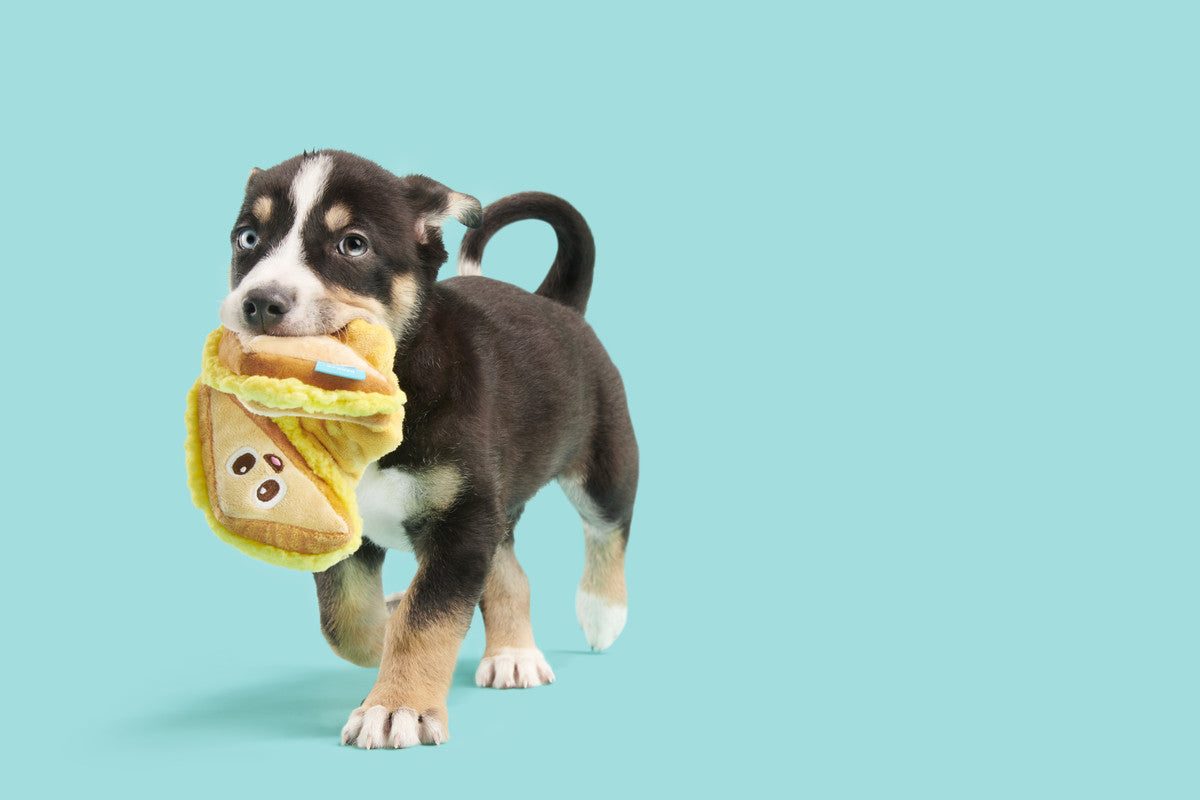 BARK Squeeze Cheese Sandwich Dog Toy