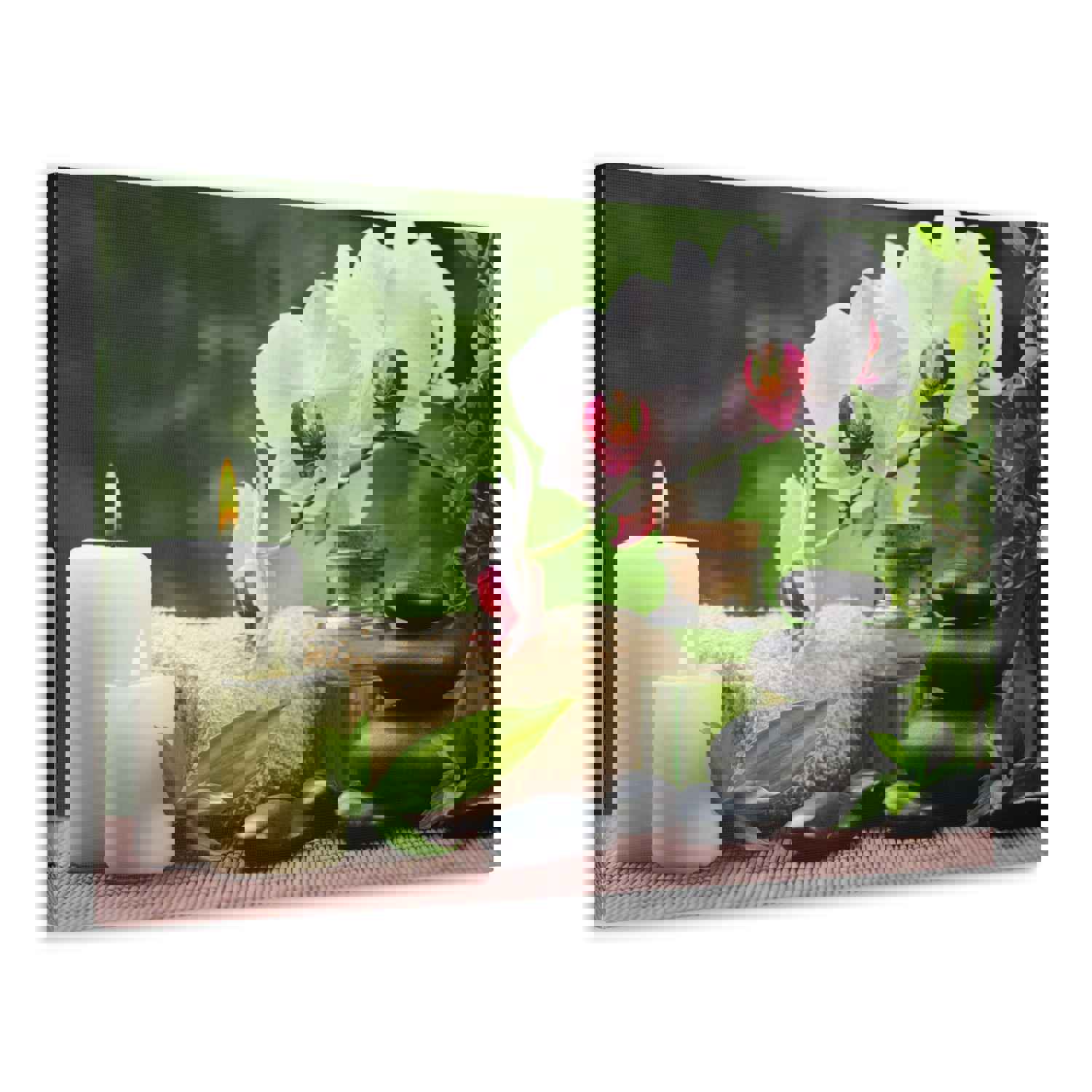 Orchid Flower and Stone Forest Floral Nature Photography Canvas Wall Art for Home Decor