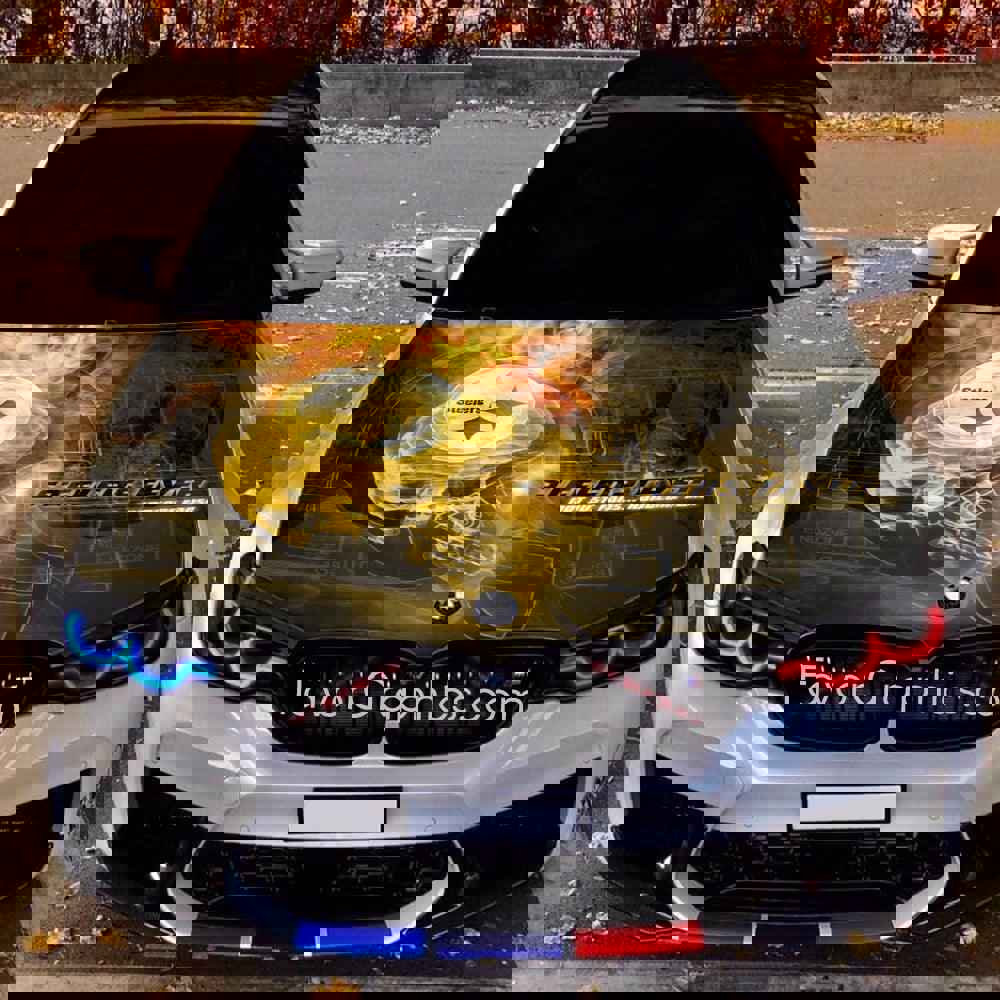 Pittsburgh Steelers Itasha Car Vinyl Hood Wrap Decal Sticker