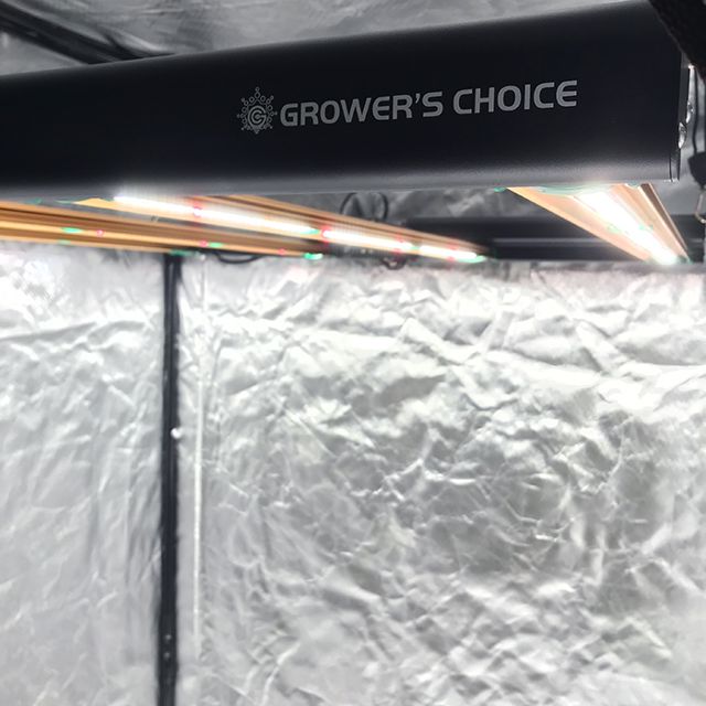 Growers Choice ROI-E420 LED Grow Light Fixture