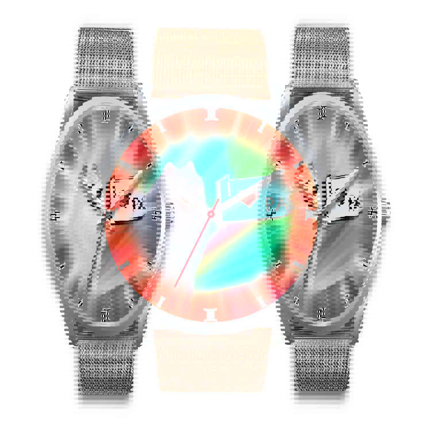 Cheerful American Eskimo Dog Pennsylvania Christmas Special Wrist Watch