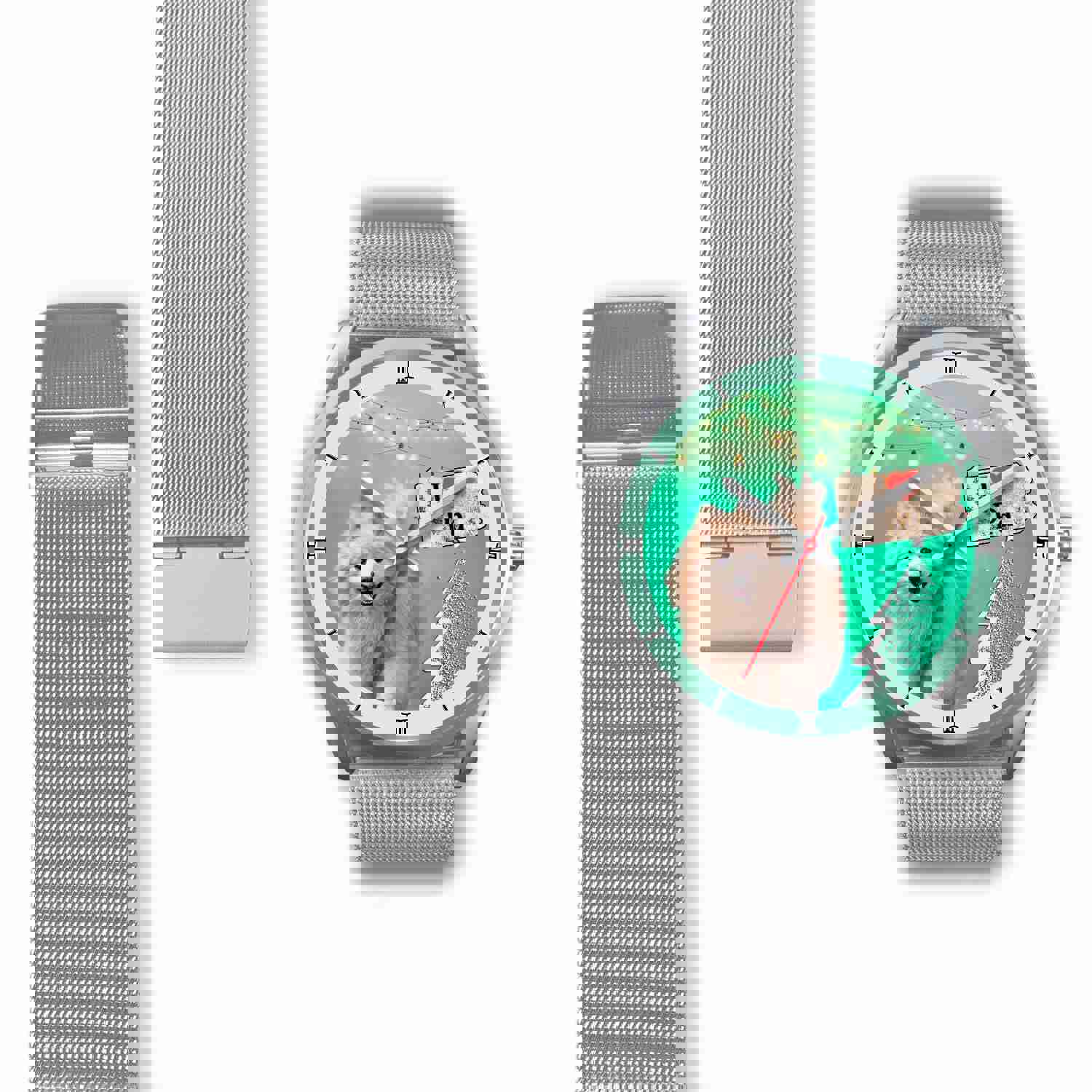 Cute Pomeranian Dog Pennsylvania Christmas Special Wrist Watch