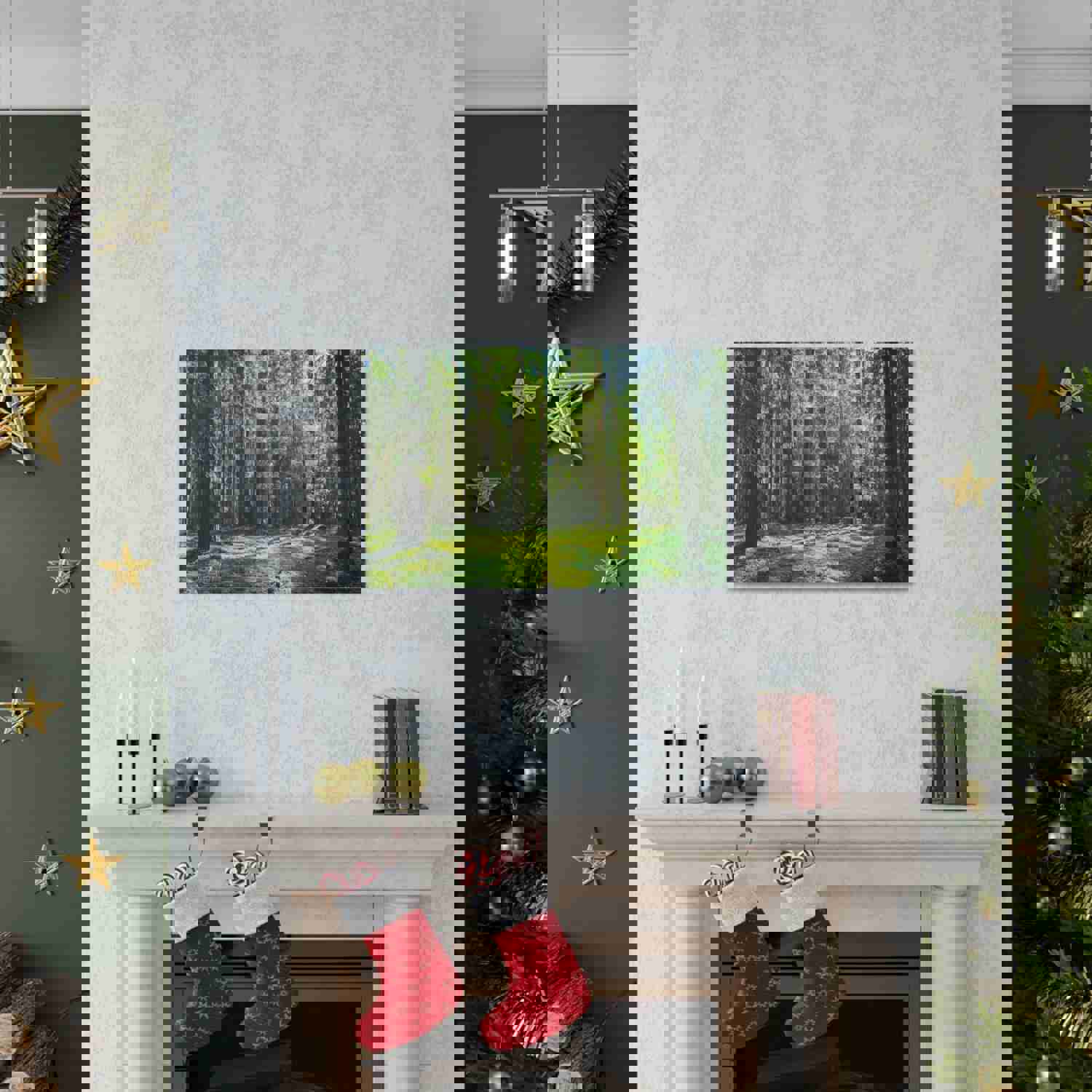 Sunlight Green Forest Tree Nature Wilderness Photography Canvas Wall Art for Home Decor