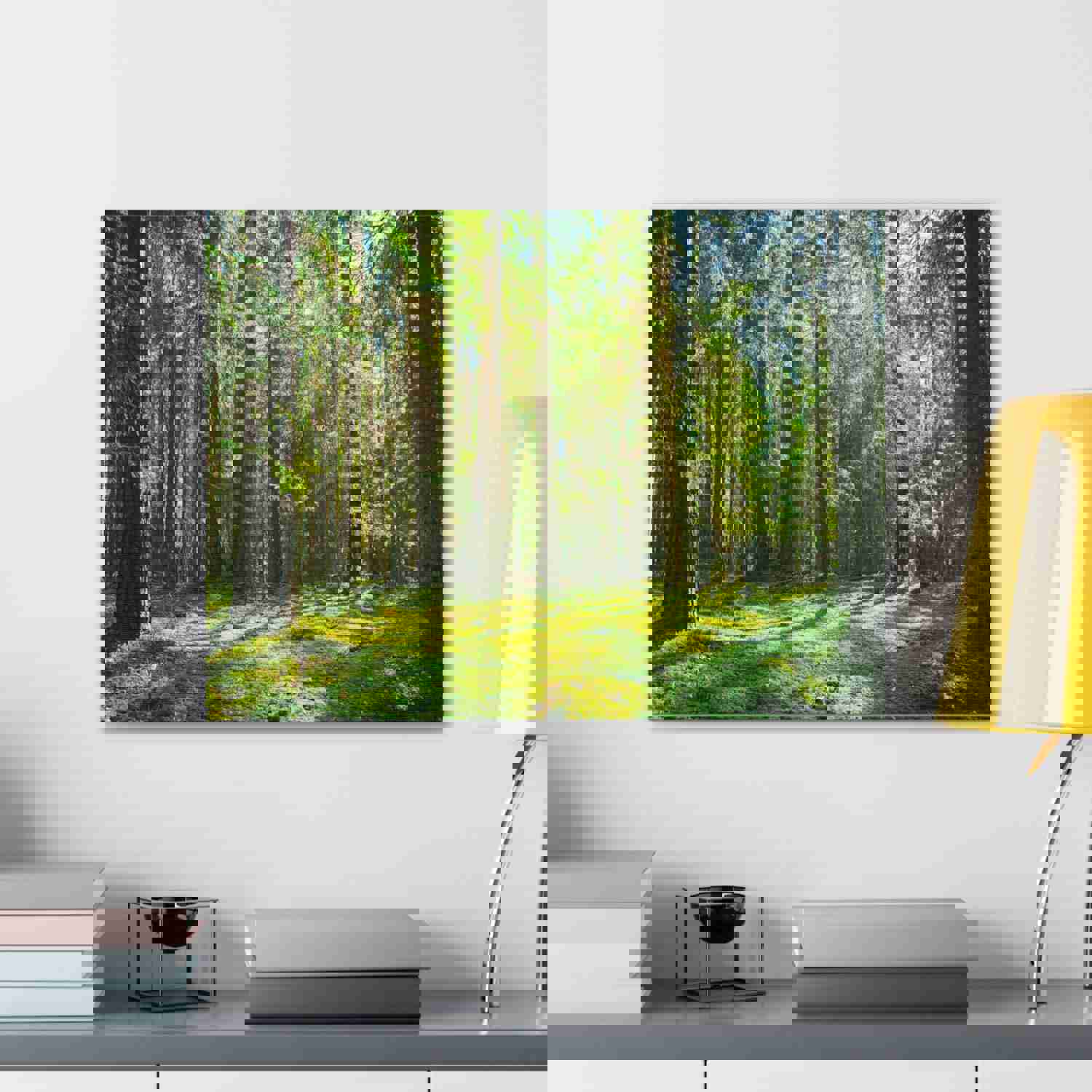 Sunlight Green Forest Tree Nature Wilderness Photography Canvas Wall Art for Home Decor