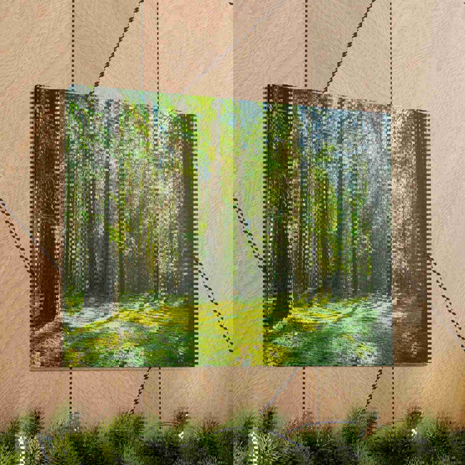 Sunlight Green Forest Tree Nature Wilderness Photography Canvas Wall Art for Home Decor