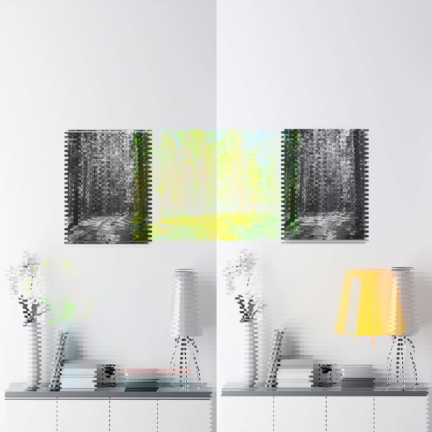 Sunlight Green Forest Tree Nature Wilderness Photography Canvas Wall Art for Home Decor