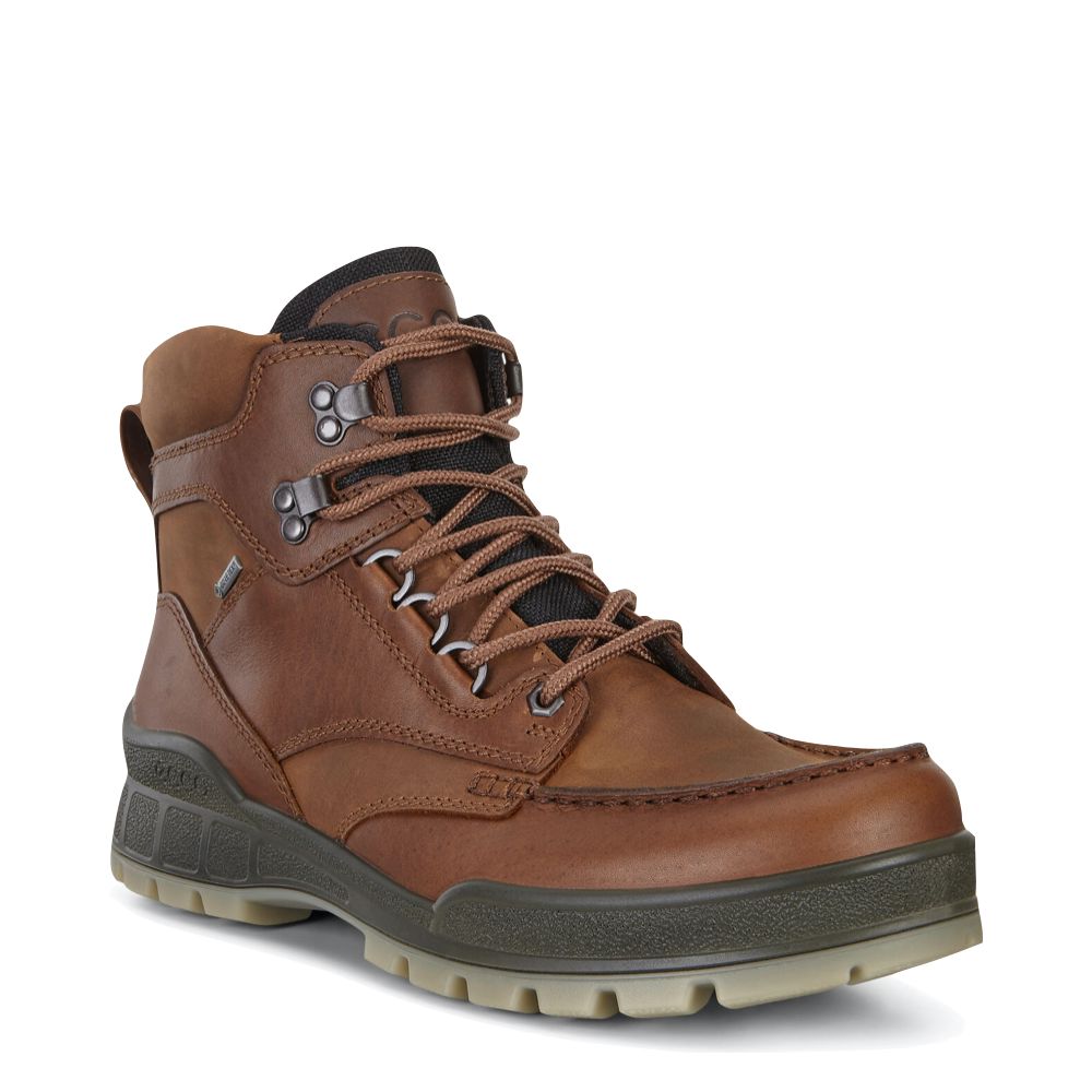 Ecco Mens Track 25 High GTX Waterproof Leather Boot in Bison Brown