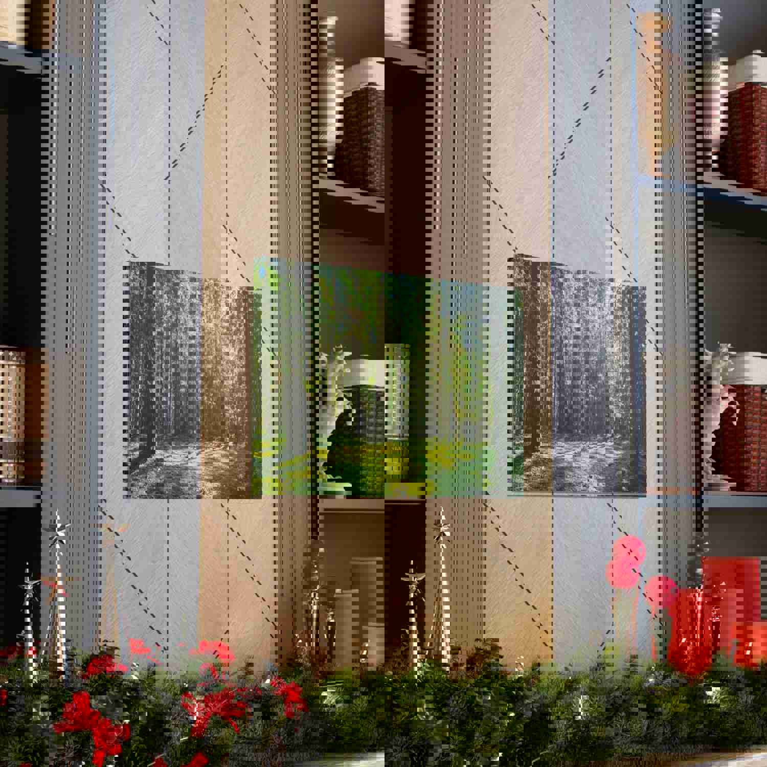 Sunlight Green Forest Tree Nature Wilderness Photography Canvas Wall Art for Home Decor