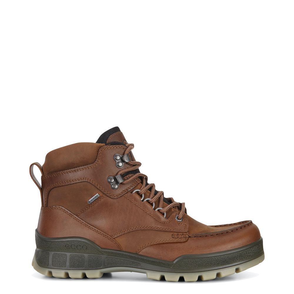 Ecco Mens Track 25 High GTX Waterproof Leather Boot in Bison Brown