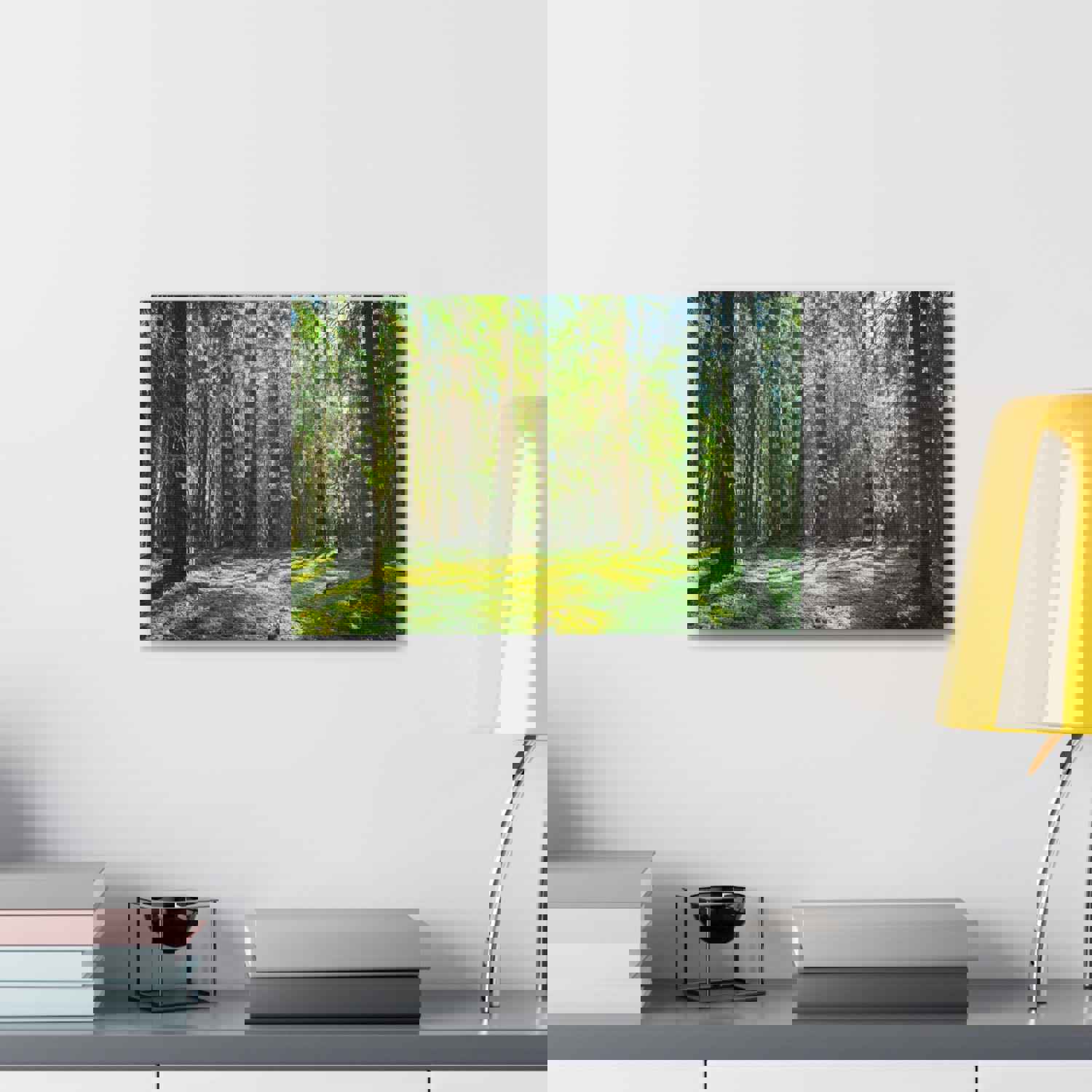 Sunlight Green Forest Tree Nature Wilderness Photography Canvas Wall Art for Home Decor