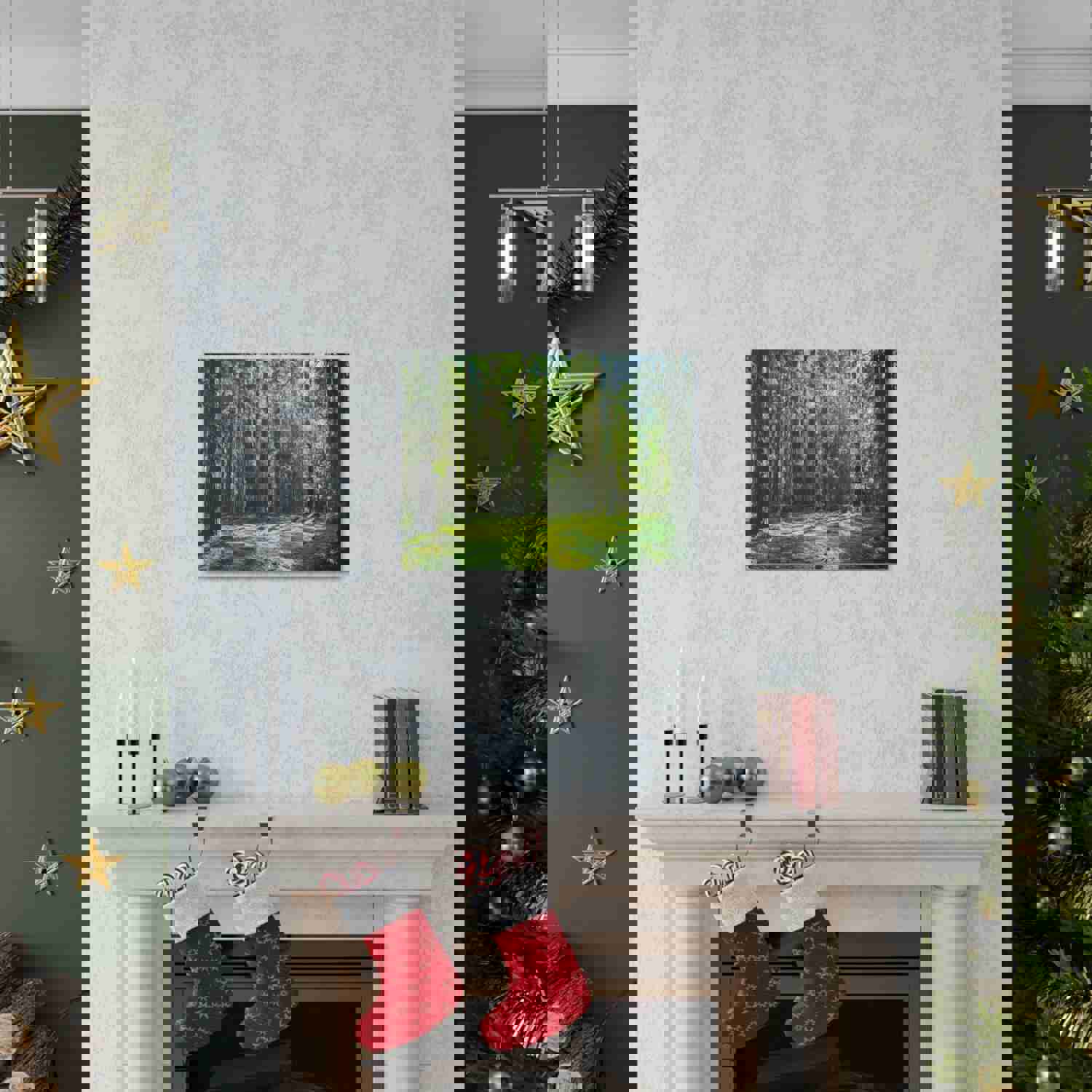 Sunlight Green Forest Tree Nature Wilderness Photography Canvas Wall Art for Home Decor