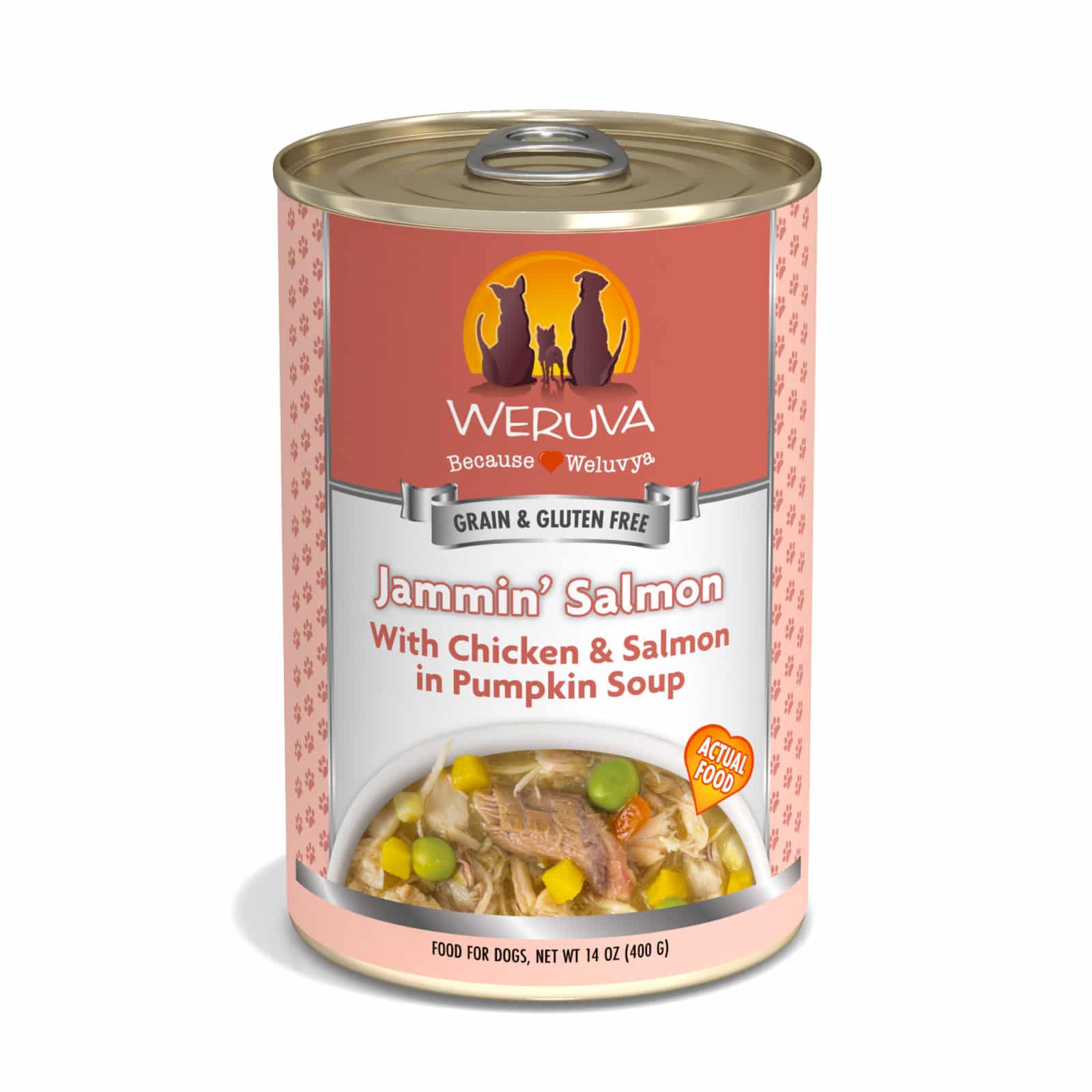 Weruva Jammin Salmon With Chicken and Salmon in Pumpkin Soup, Wet Dog Food