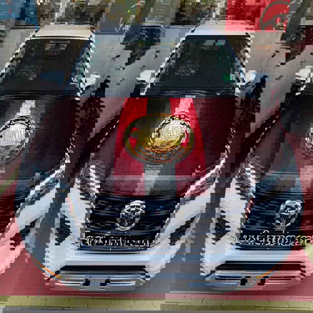 Minnesota Twins Itasha Car Vinyl Hood Wrap Decal Sticker