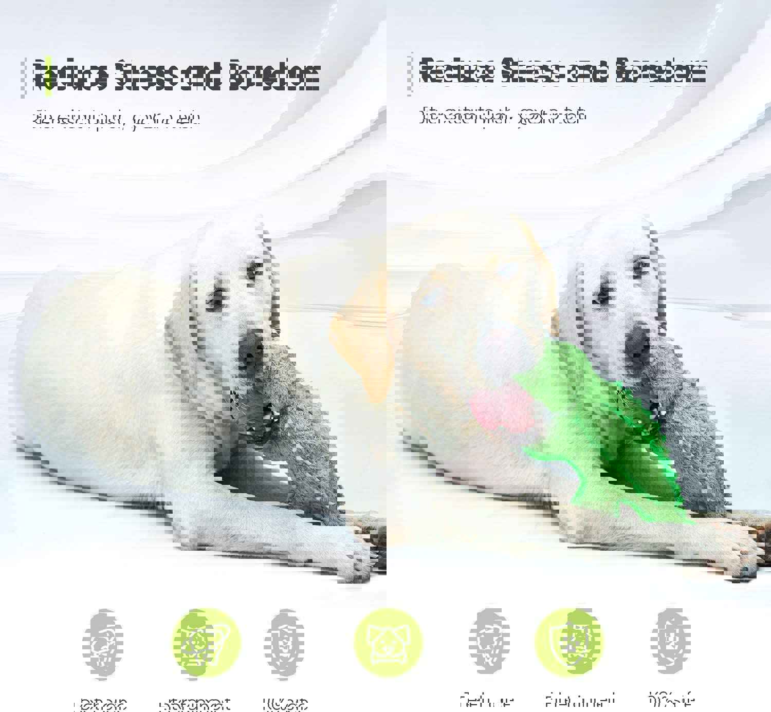 IOKHEIRA Squeaky Plush Dog Toy for Dogs