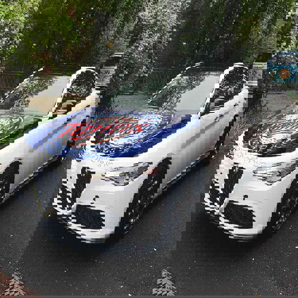 Minnesota Twins Itasha Car Vinyl Hood Wrap Decal Sticker