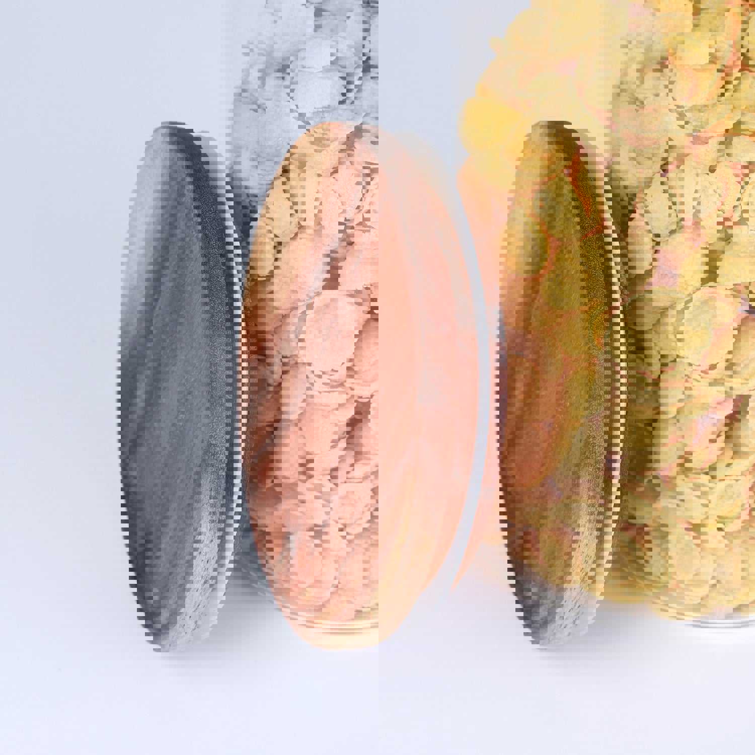 KKC Tall Borosilicate Glass Food Storage Jars for Spaghetti, 63 Floz, 2 Piece Set