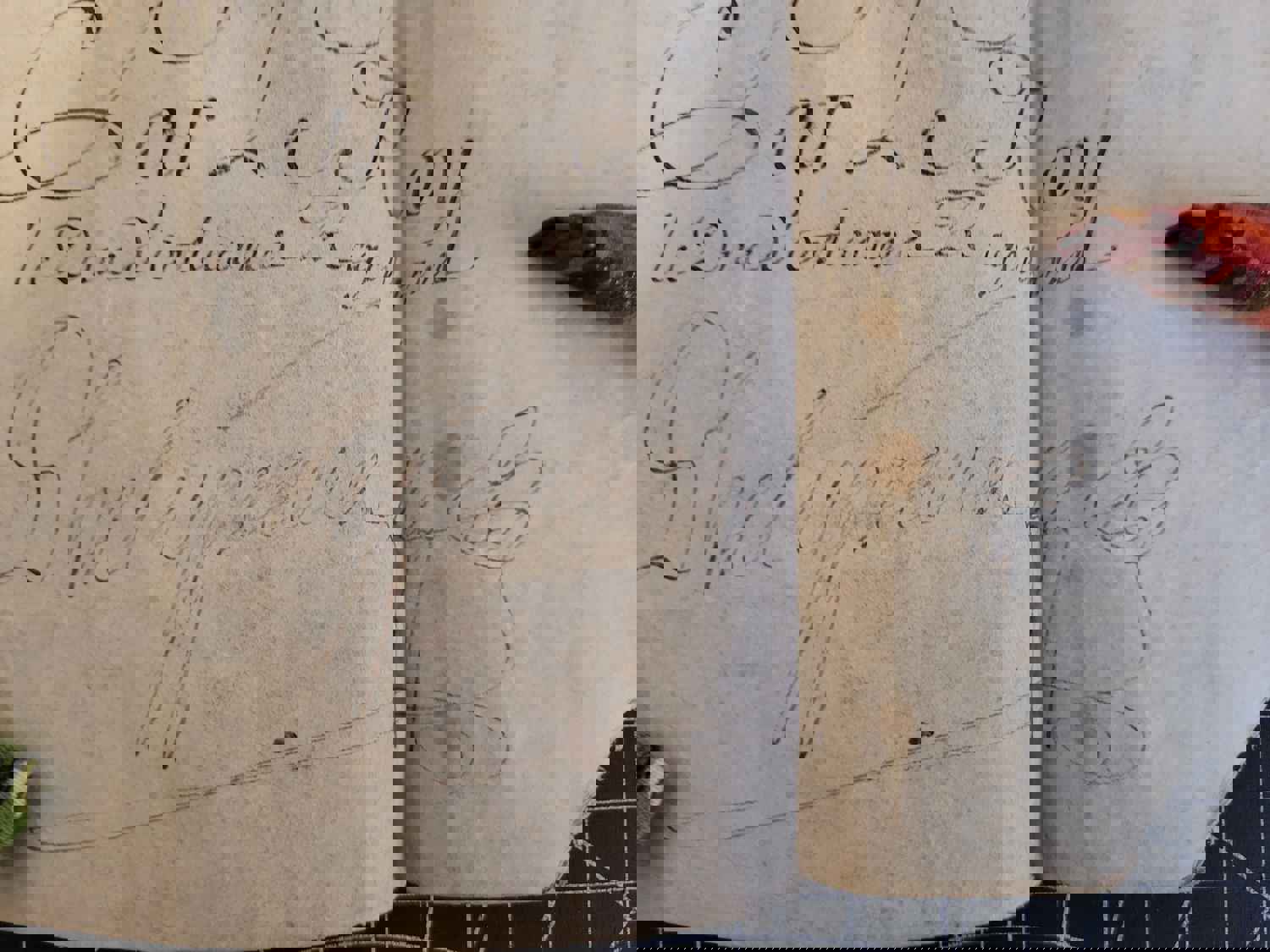 Letter of Veterancy by Louis XV in favor of Jacques Le Noir, 1718