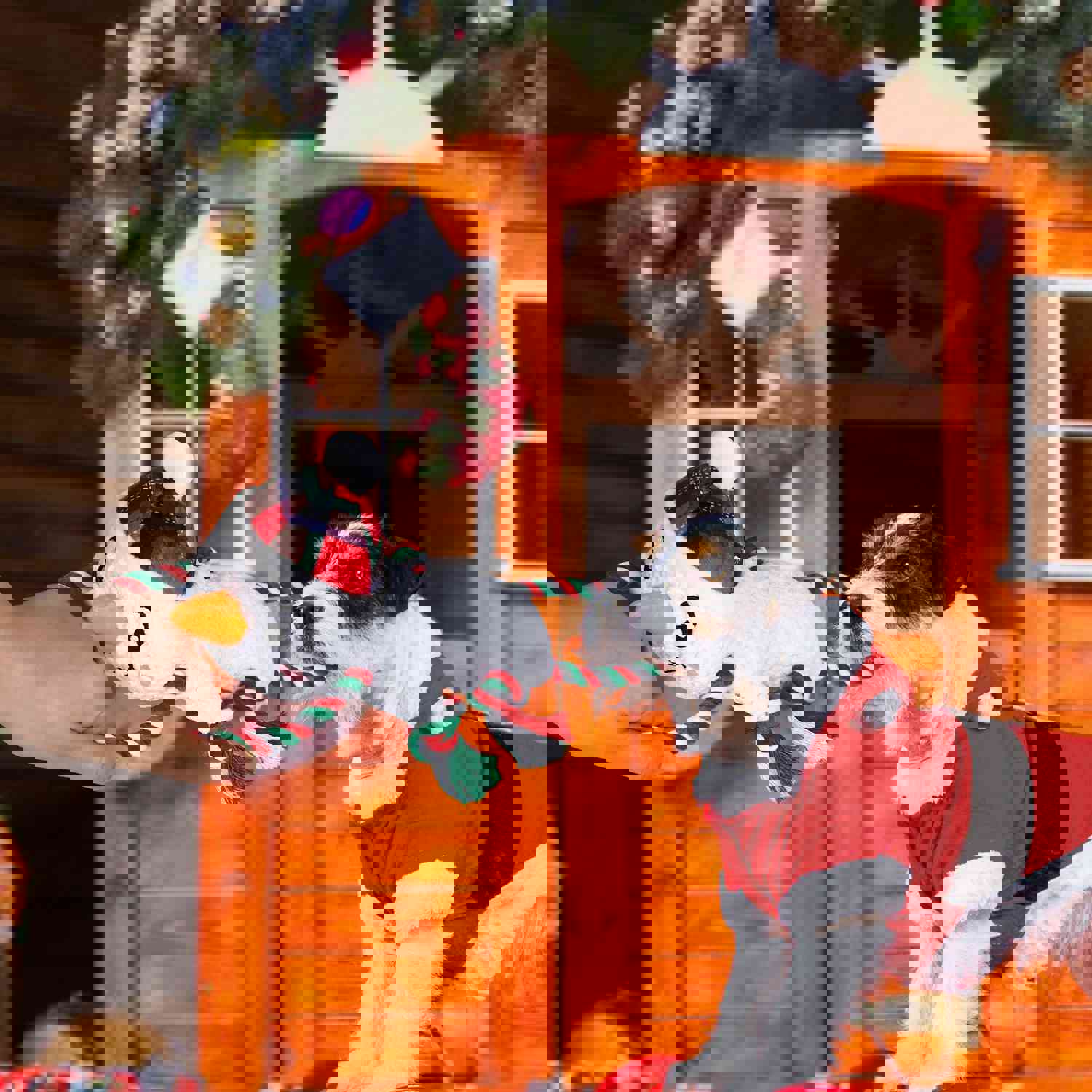 IOKHEIRA Christmas Snowman Squeaky Dog Toy - Interactive Plush Chew Toy with Crinkle Paper & Knotted Rope for Teeth Cleaning