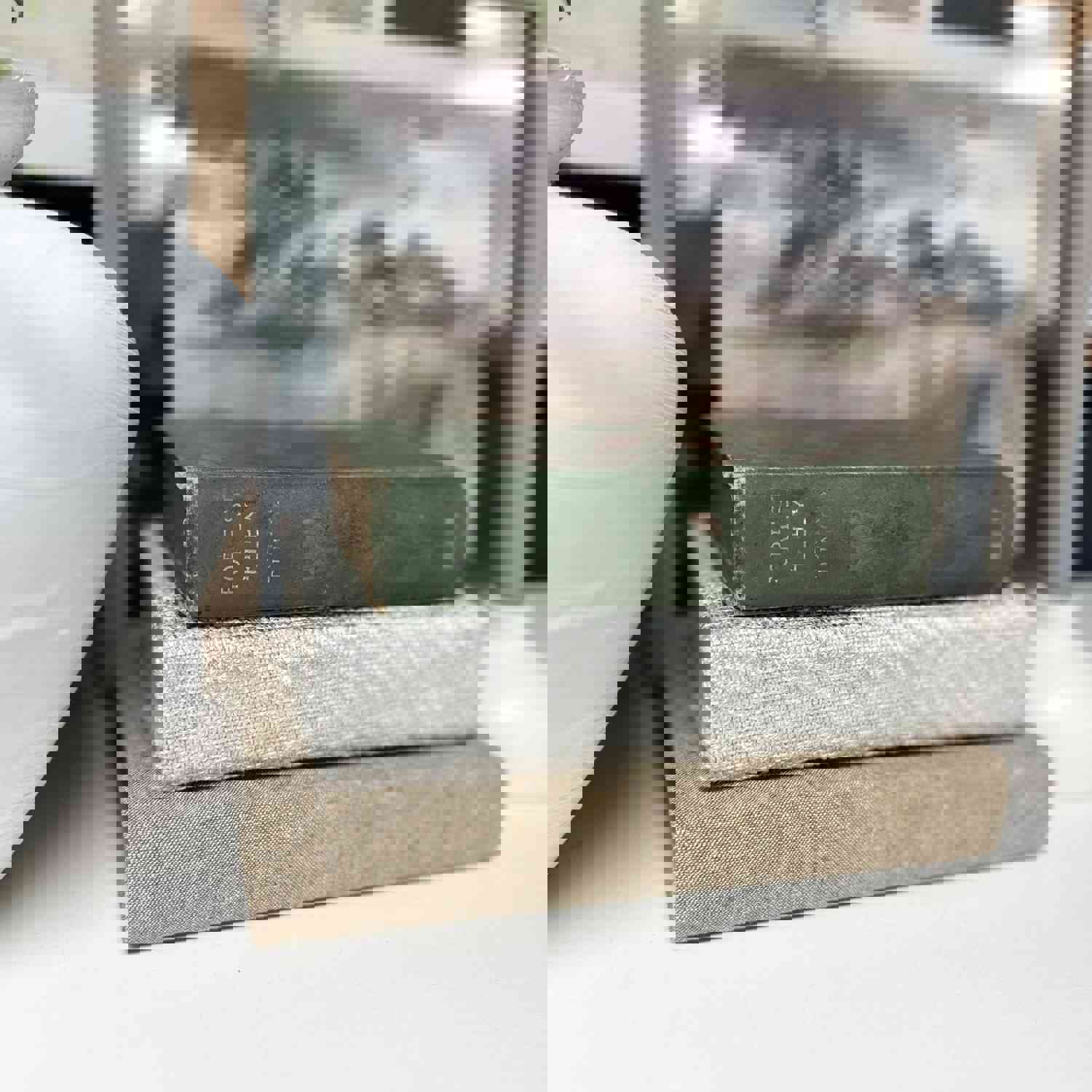 Green Decorative Books for Home and Shelf Decor