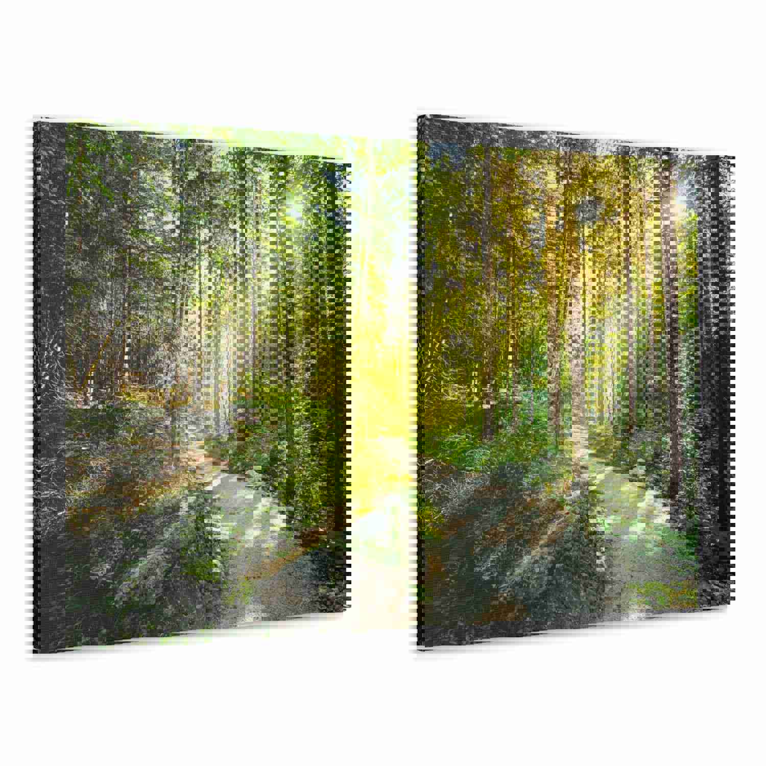 Sunlight Through Green Forest Path Nature Photography Canvas Wall Art