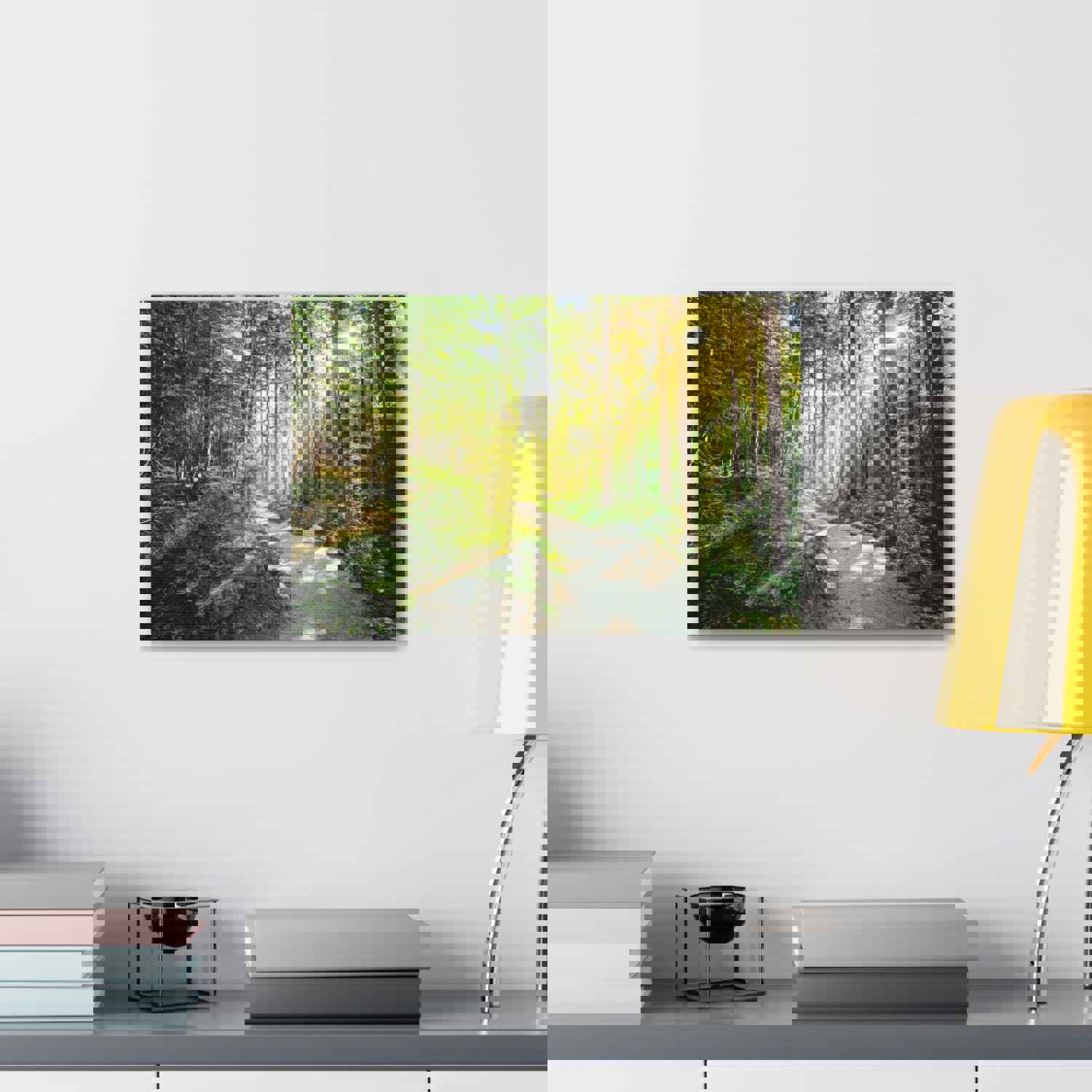 Sunlight Through Green Forest Path Nature Photography Canvas Wall Art