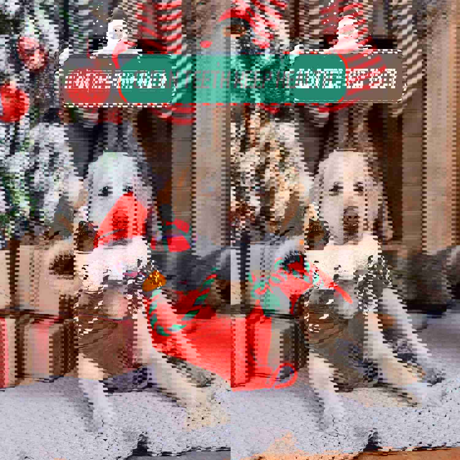 IOKHEIRA Christmas Snowman Squeaky Dog Toy - Interactive Plush Chew Toy with Crinkle Paper & Knotted Rope for Teeth Cleaning