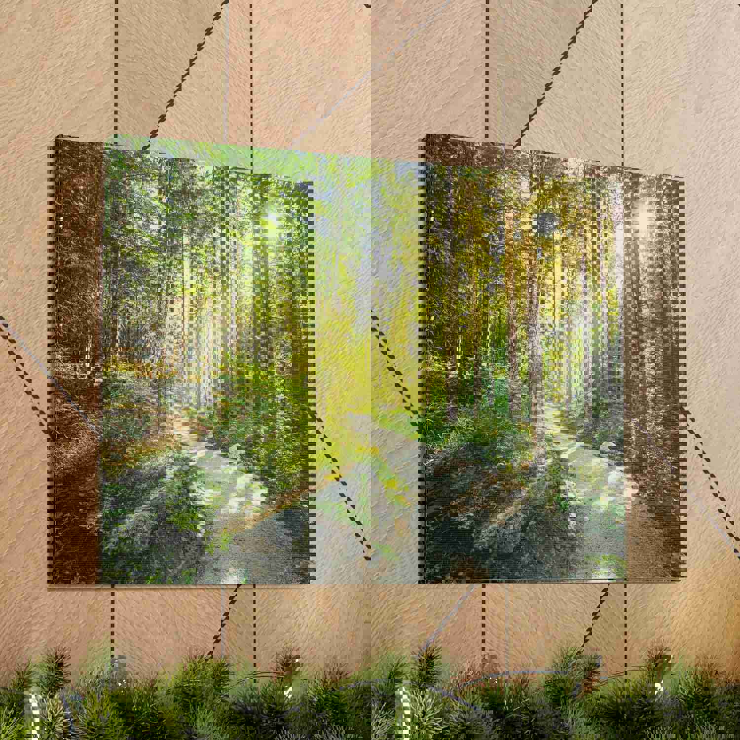 Sunlight Through Green Forest Path Nature Photography Canvas Wall Art