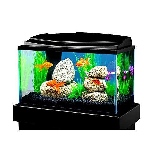 10 Gallon Aquarium Starter Kit with LED Goldfish Tank and Energy Efficient LED Lighting