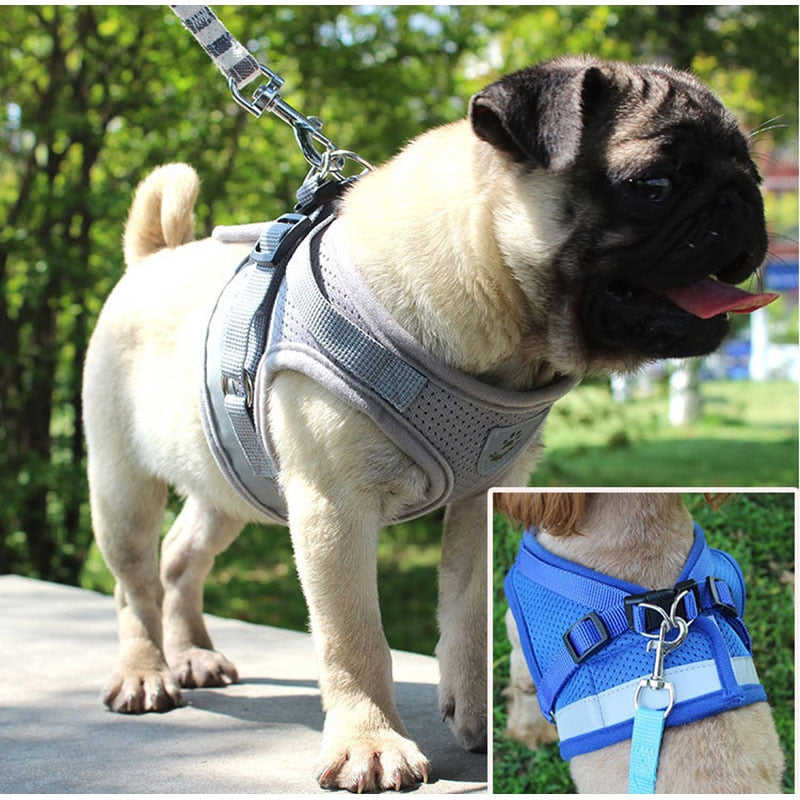 Adjustable Pet Dog Cat Harness with Leash - Soft Breathable Plaid Vest for Small, Medium, Large Dogs