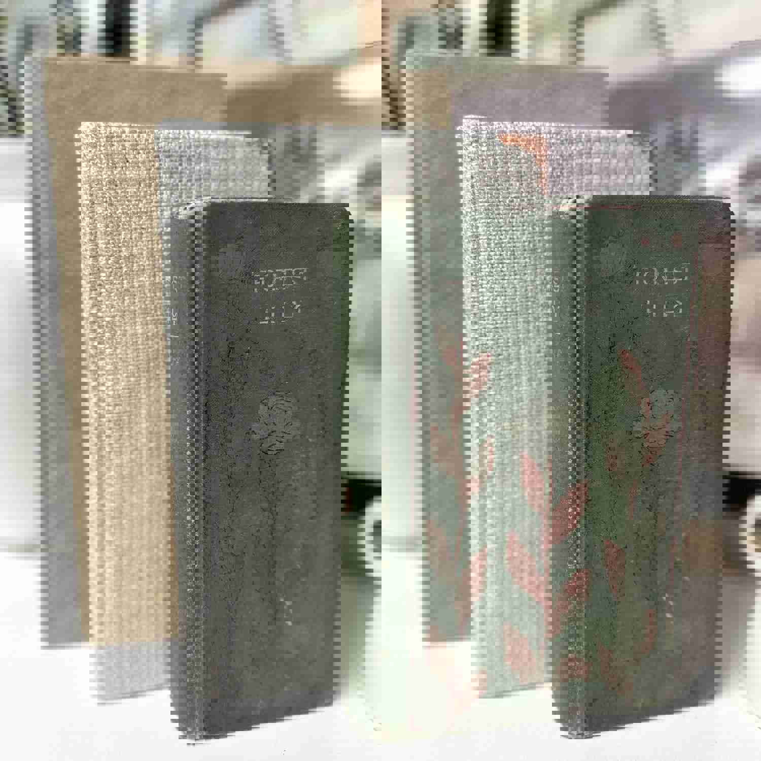 Green Decorative Books for Home and Shelf Decor