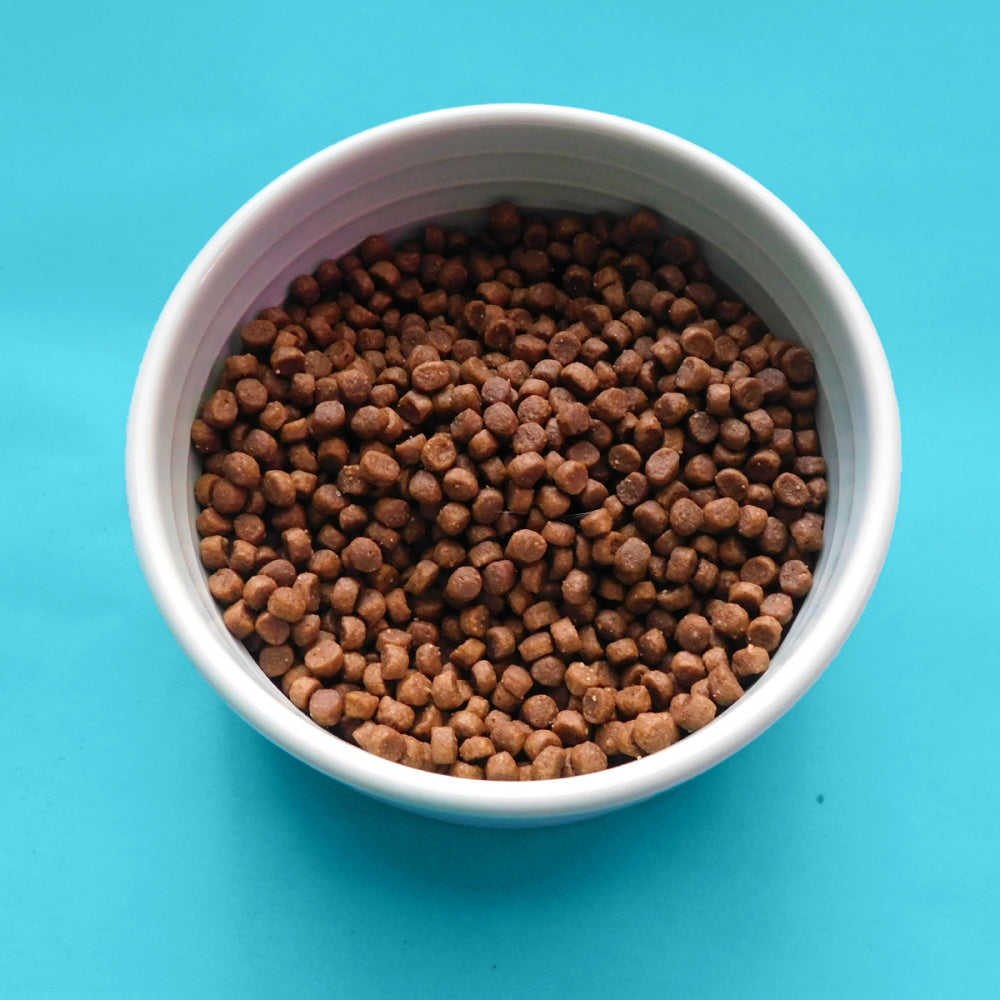 Fromm Gold Kitten Dry Cat Food - Complete Nutrition for Kittens