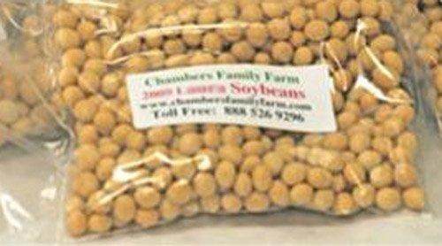 Joyoung CTS-2038 Automatic Hot Soy Milk Maker with Free Soybean Bonus Pack