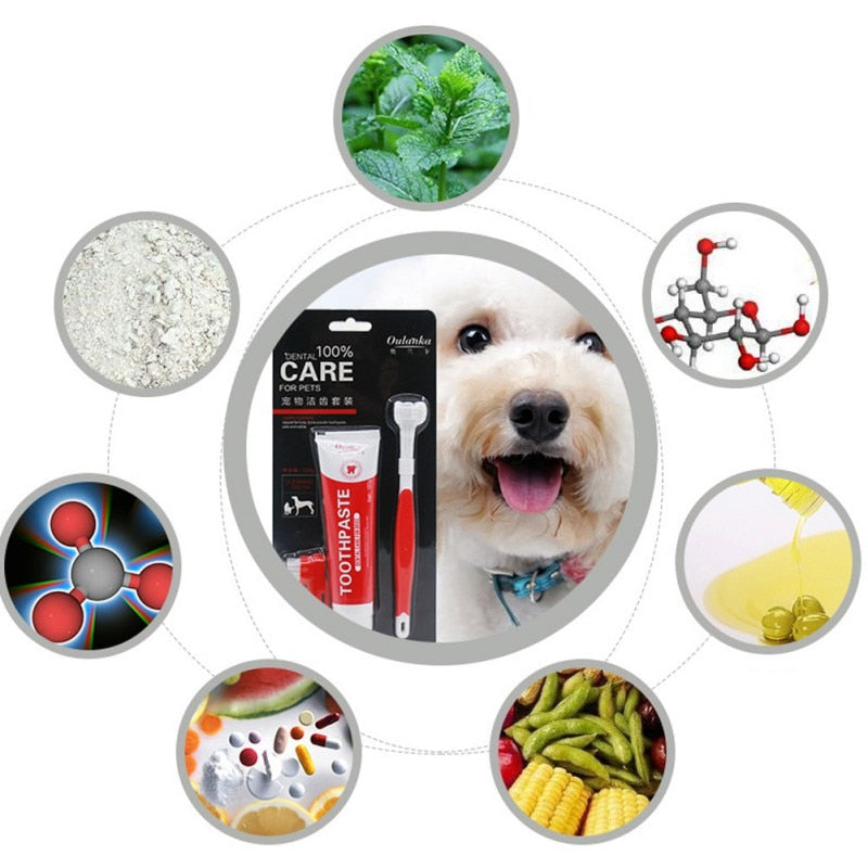1 Set Pet Oral Dental Care Tool Supplies