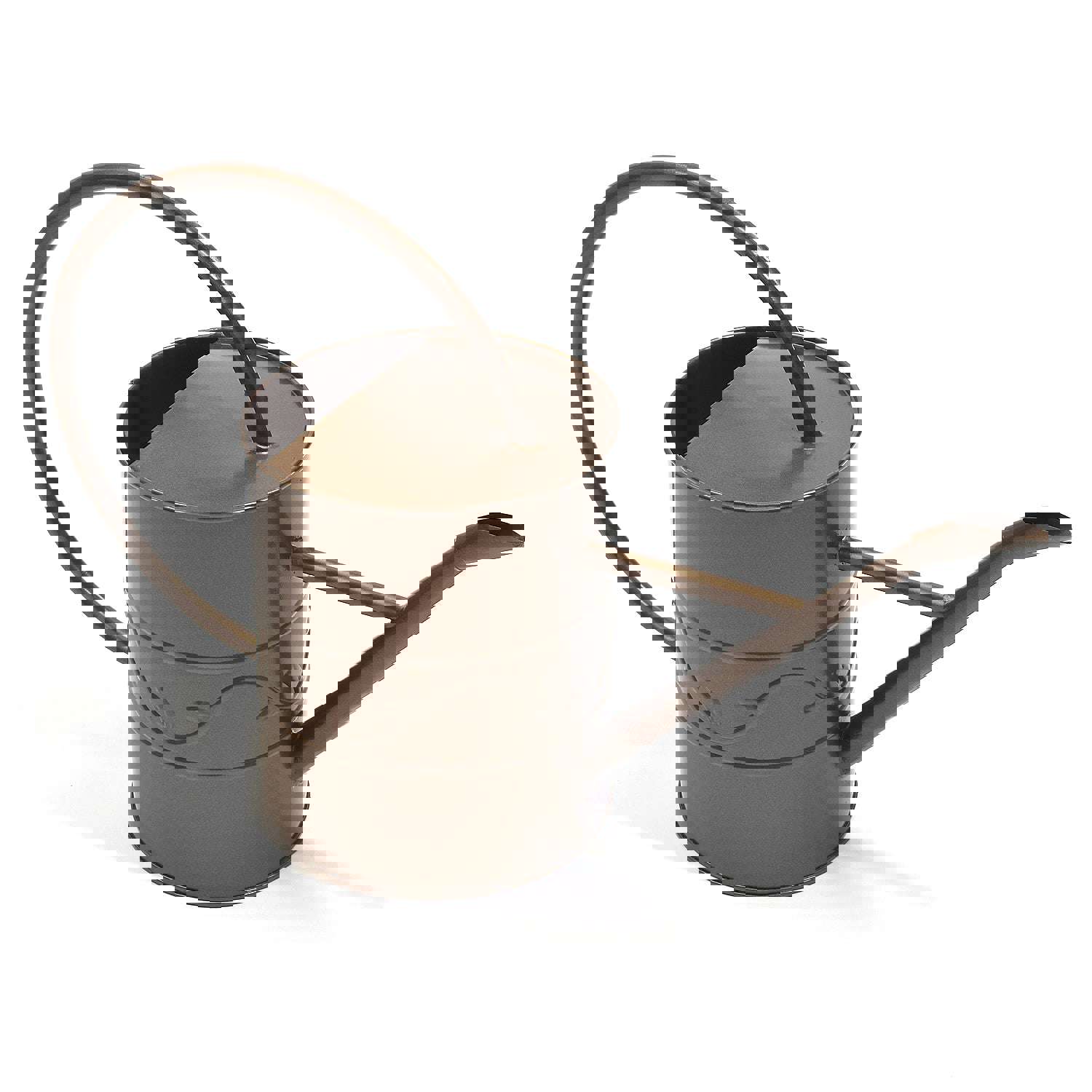 Ashman Bronze Watering Can - 2 Litre Capacity for Indoor & Outdoor Plants (100 Count)