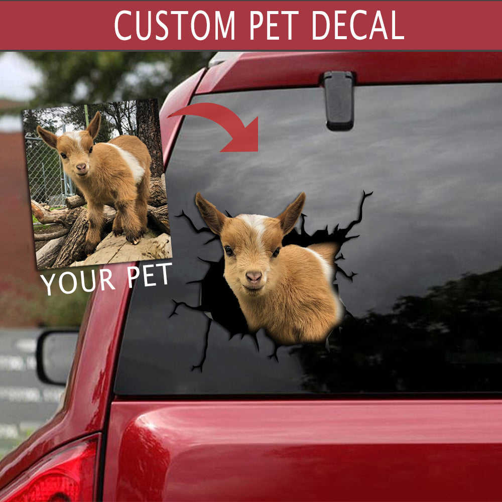 Personalized Pet Crack Sticker - Custom Humor Car Bumper Stickers for Pets