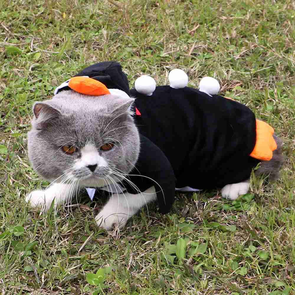 Black Cute Penguin Shape Pet Clothes Cosplay Soft Texture Dogs Hooded Coat Costume Halloween Pets Supplies