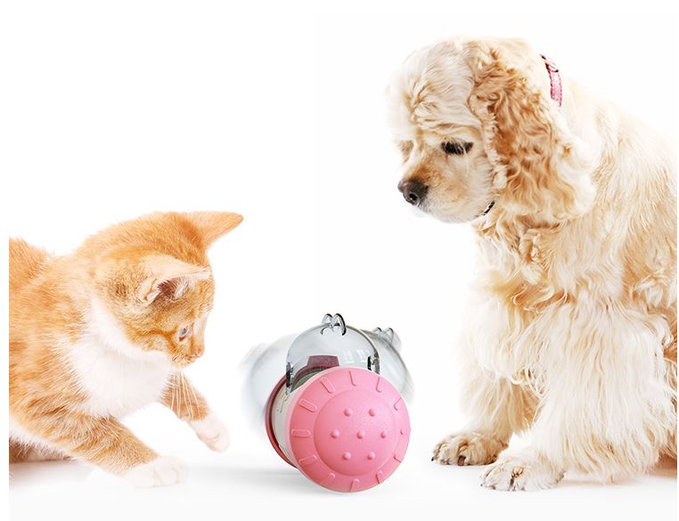 Interactive Dog Treat Leaking Toy with Wheel for Puppies and Cats