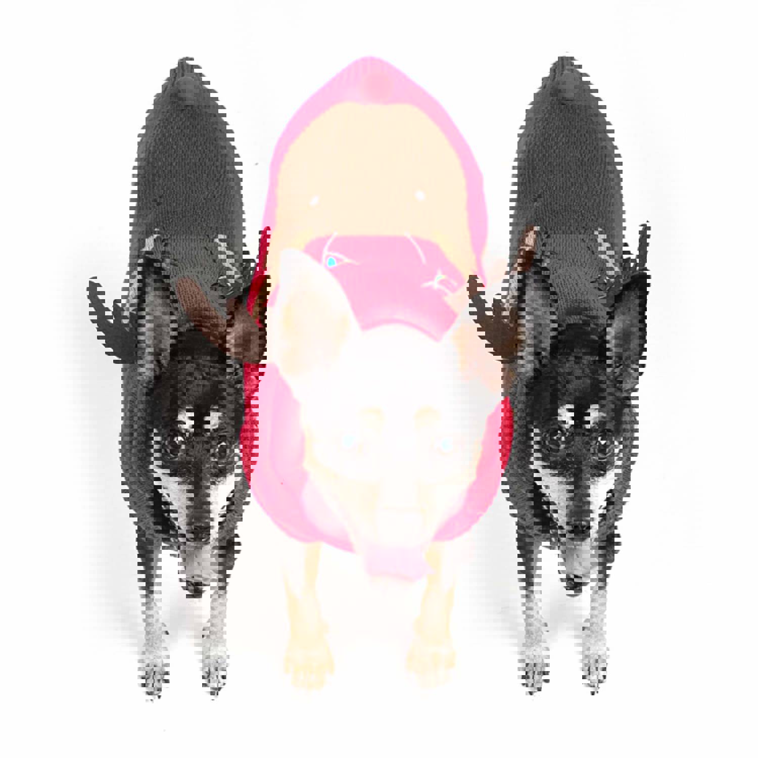 Rudy Reindeer Dog Hoodie - Festive and Cozy Pet Apparel