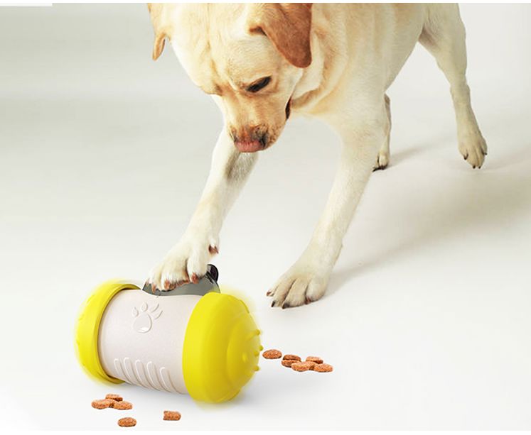 Interactive Dog Treat Leaking Toy with Wheel for Puppies and Cats