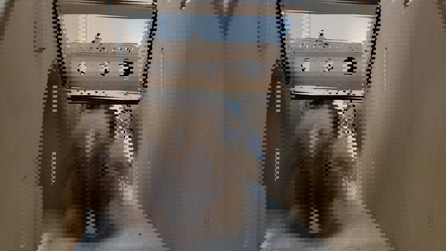 Halloween Trick or Treat Series - Add-on Roller for Small Pets Bunny Enrichment Puzzle Toys