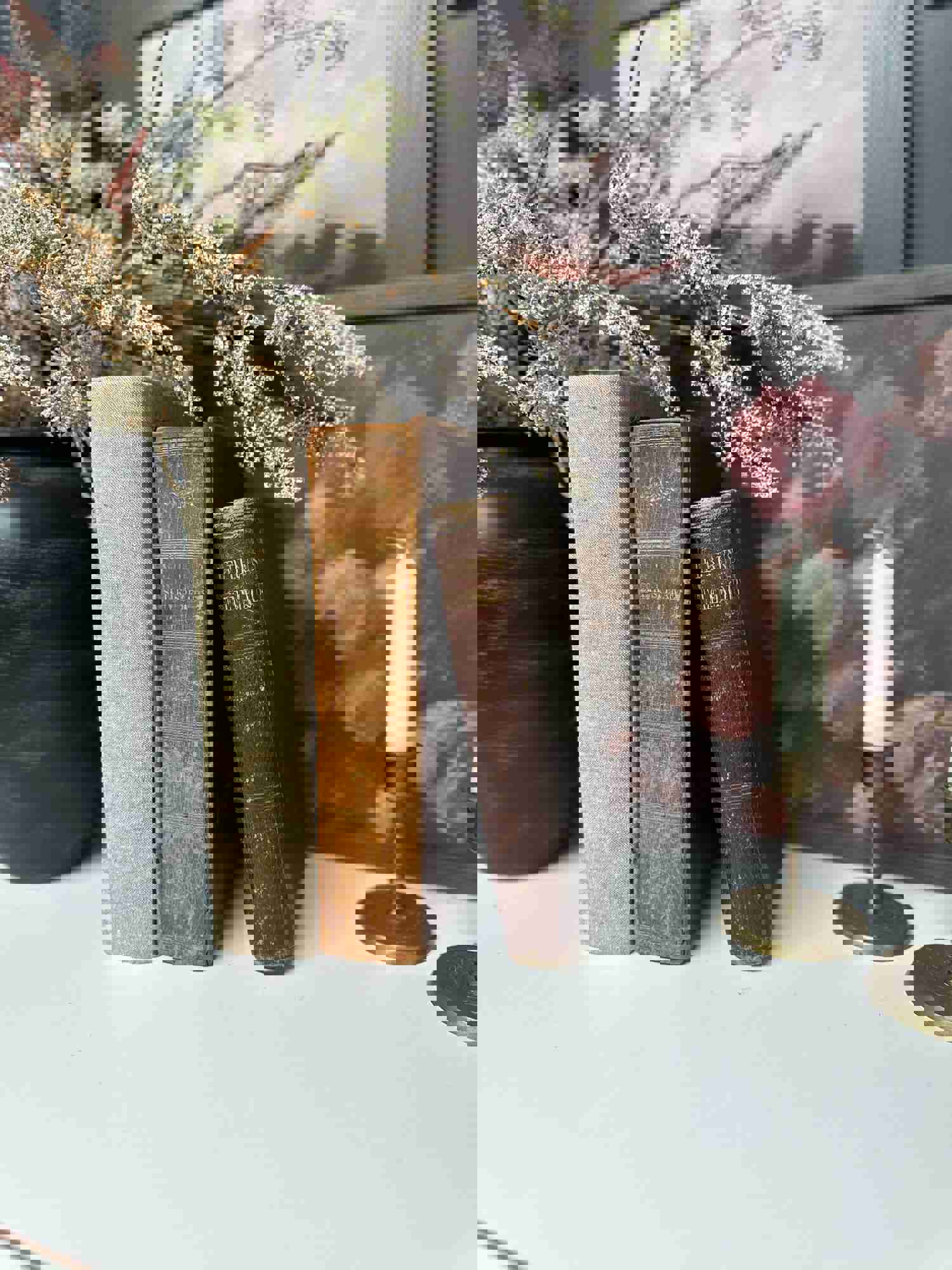 Vintage Book Set for Home Decor