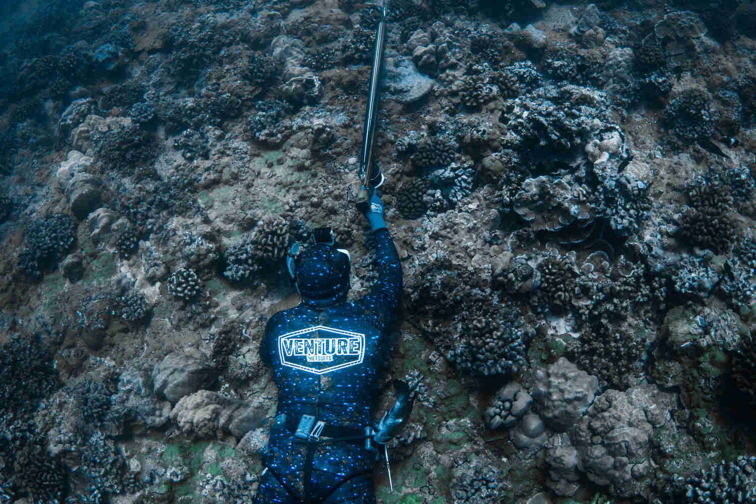 Roi Wetsuit for Men - Peacock Grouper Inspired Diving Suit