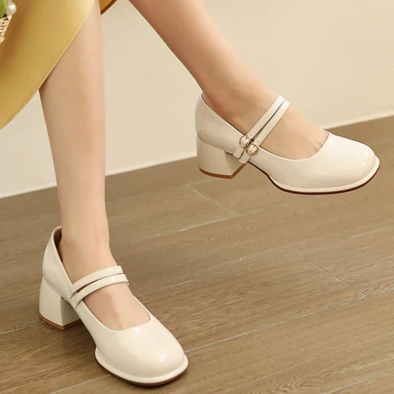 Wine Red Elegant Women Mary Janes Shoes Square Toe Autumn Mid Heels Glass Pumps