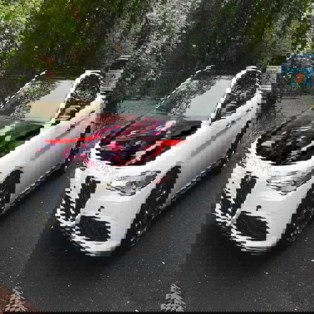 Shalltear Bloodfallen Overlord Itasha Car Vinyl Hood Wrap Decal Sticker