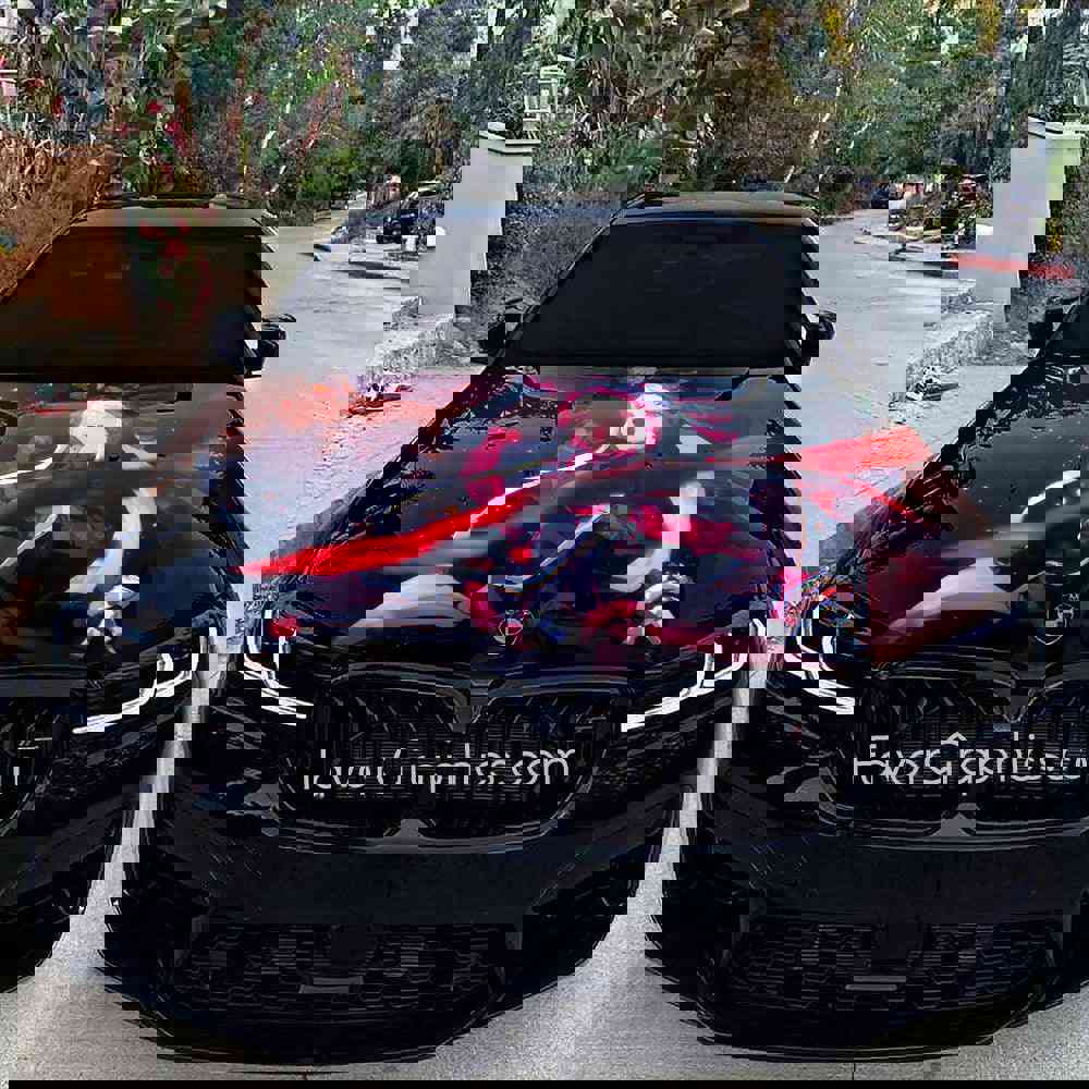 Shalltear Bloodfallen Overlord Itasha Car Vinyl Hood Wrap Decal Sticker