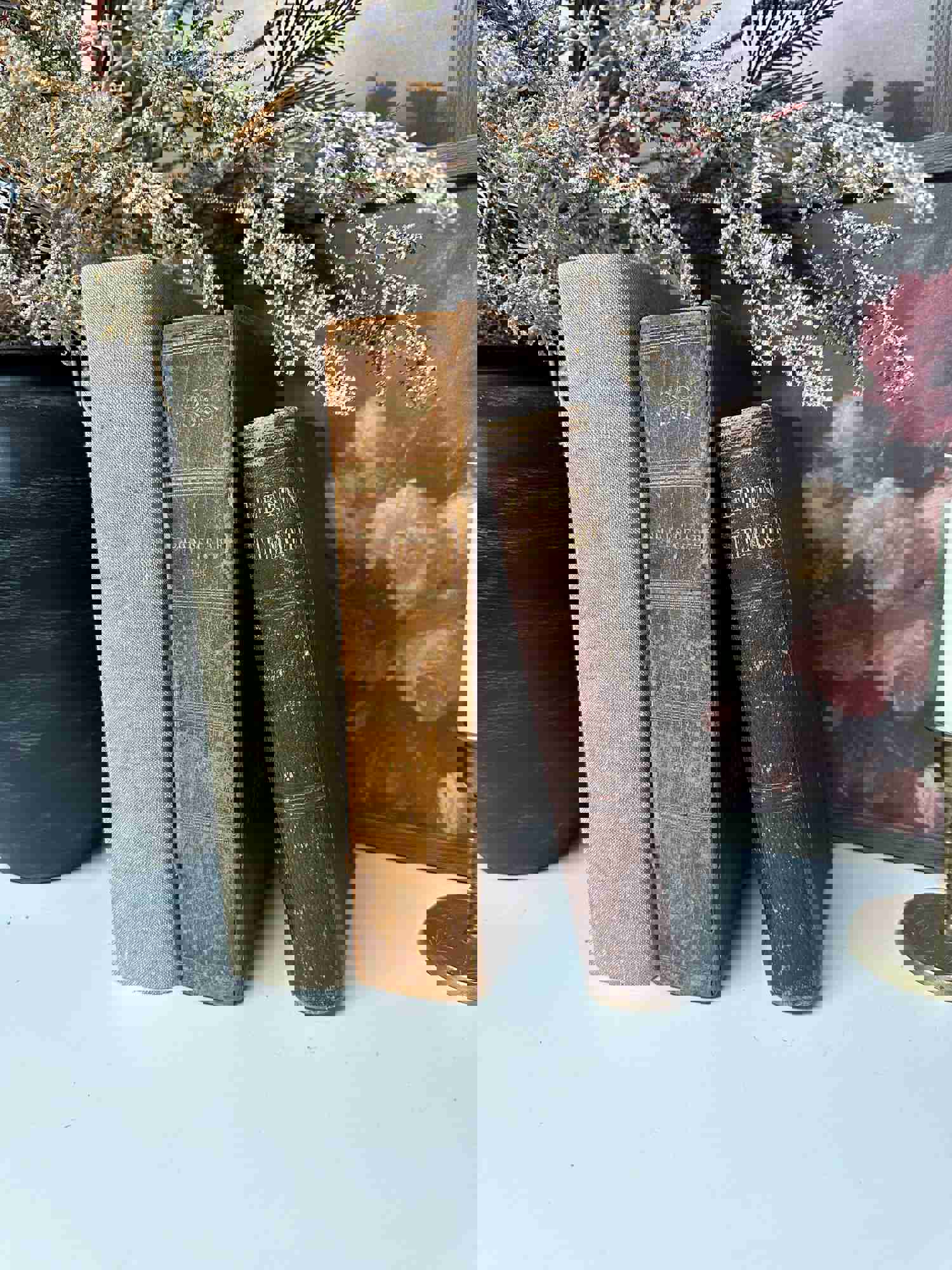 Vintage Book Set for Home Decor