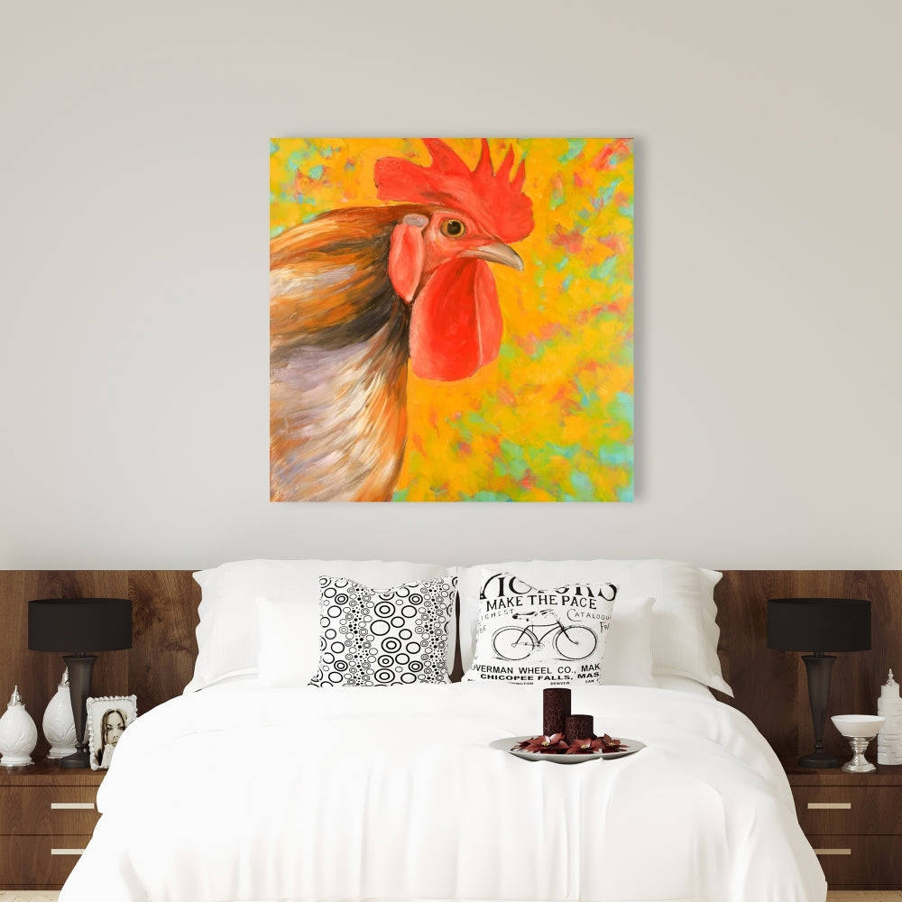 Colorful Rooster Fine Art Gallery Wrapped Canvas 36x36